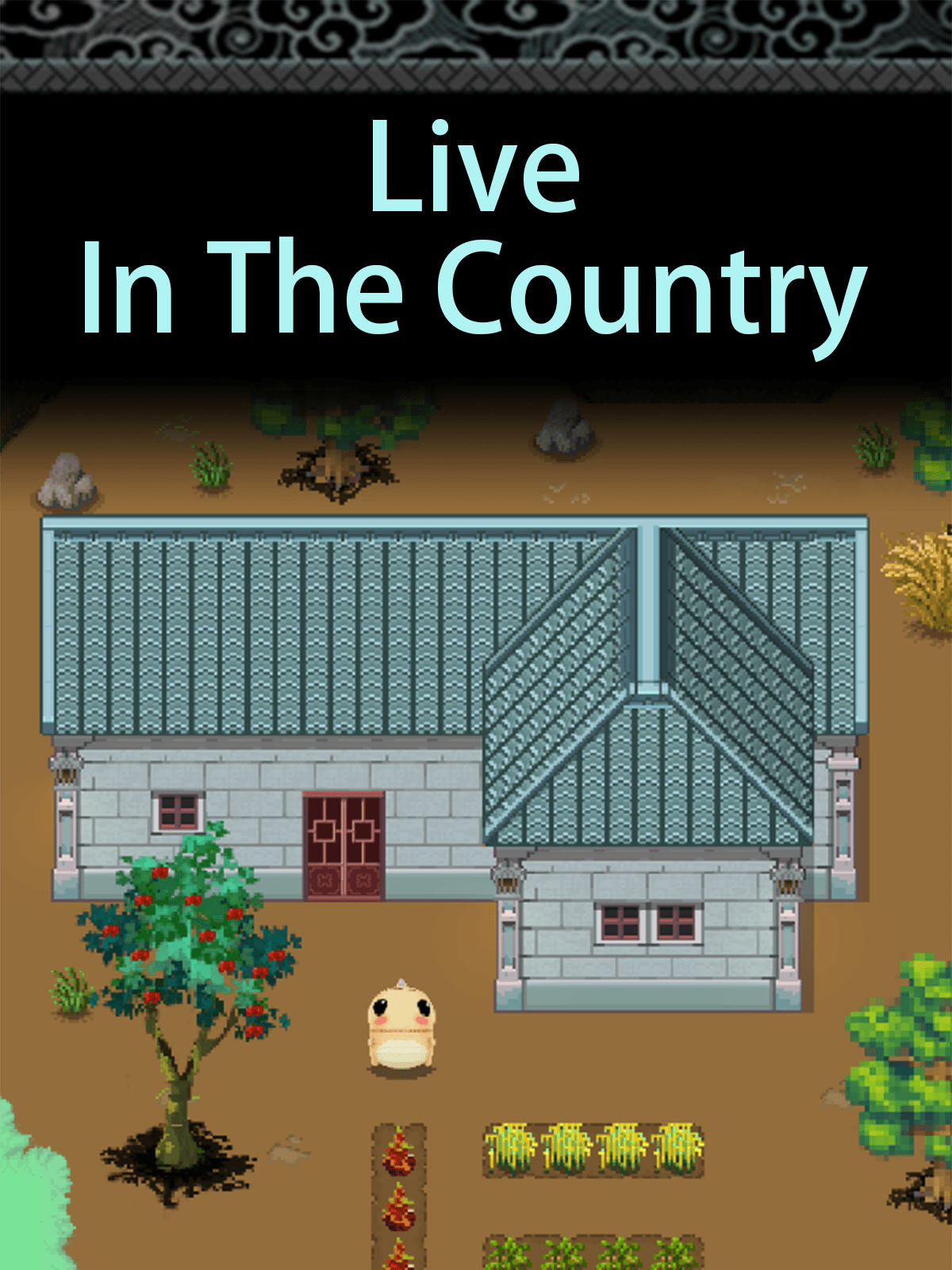 Live In The Country