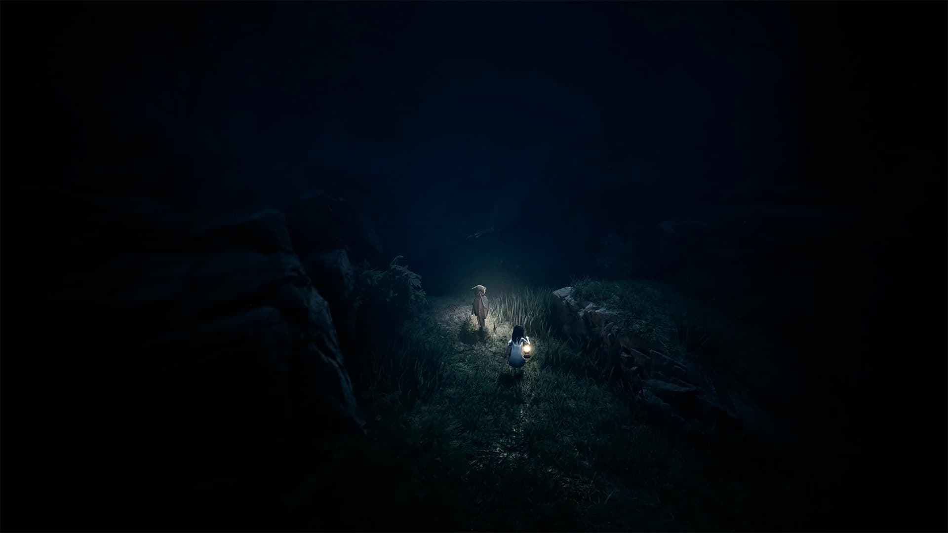 REANIMAL screenshot 8