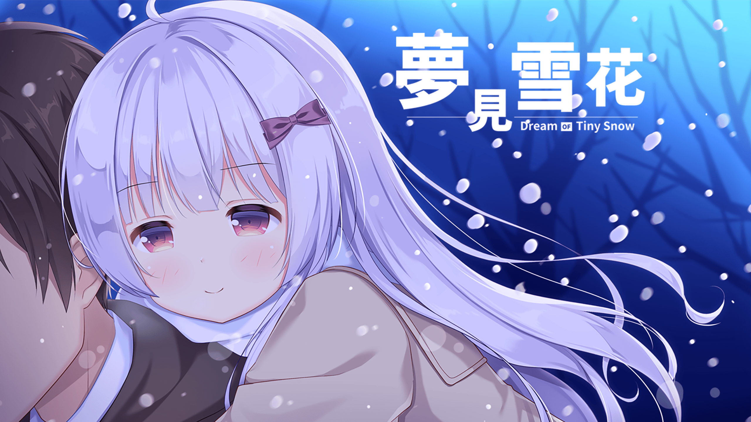 Dream of Tiny Snow
