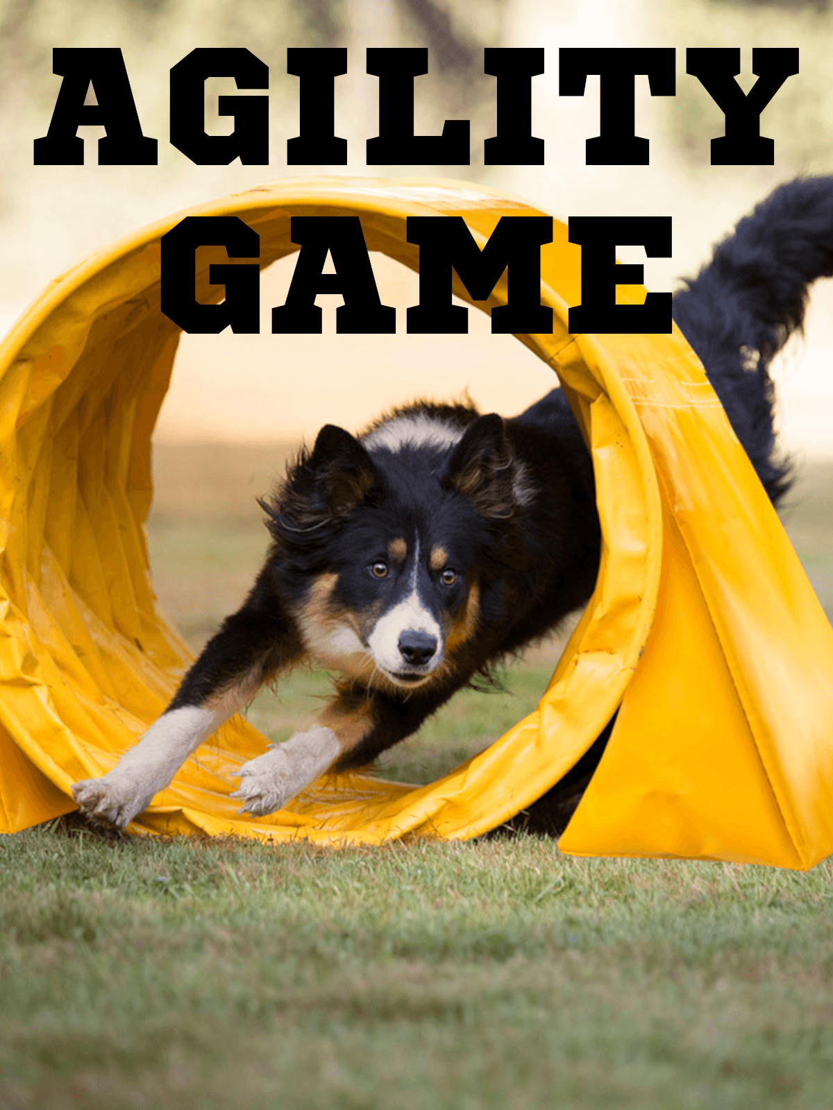 Agility Game