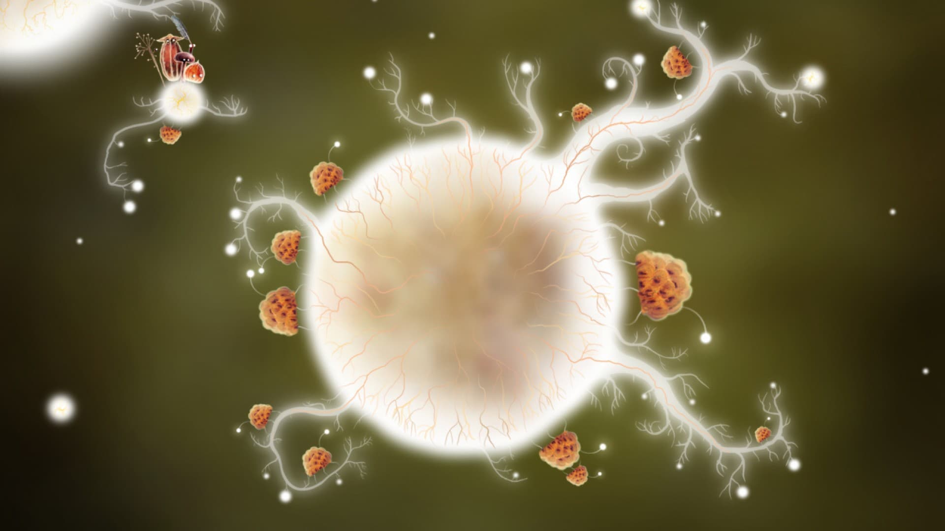 Botanicula screenshot 5