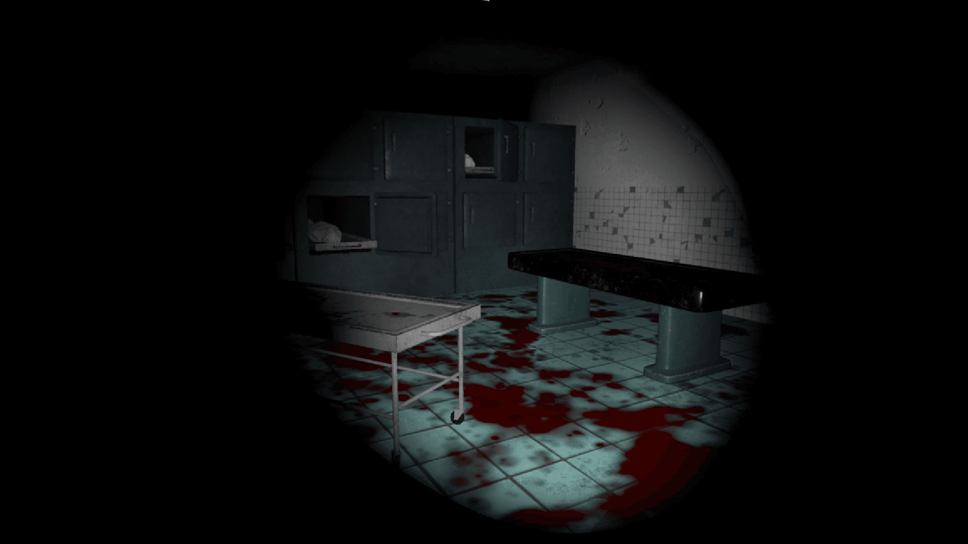 Echo's of the Dark screenshot 4