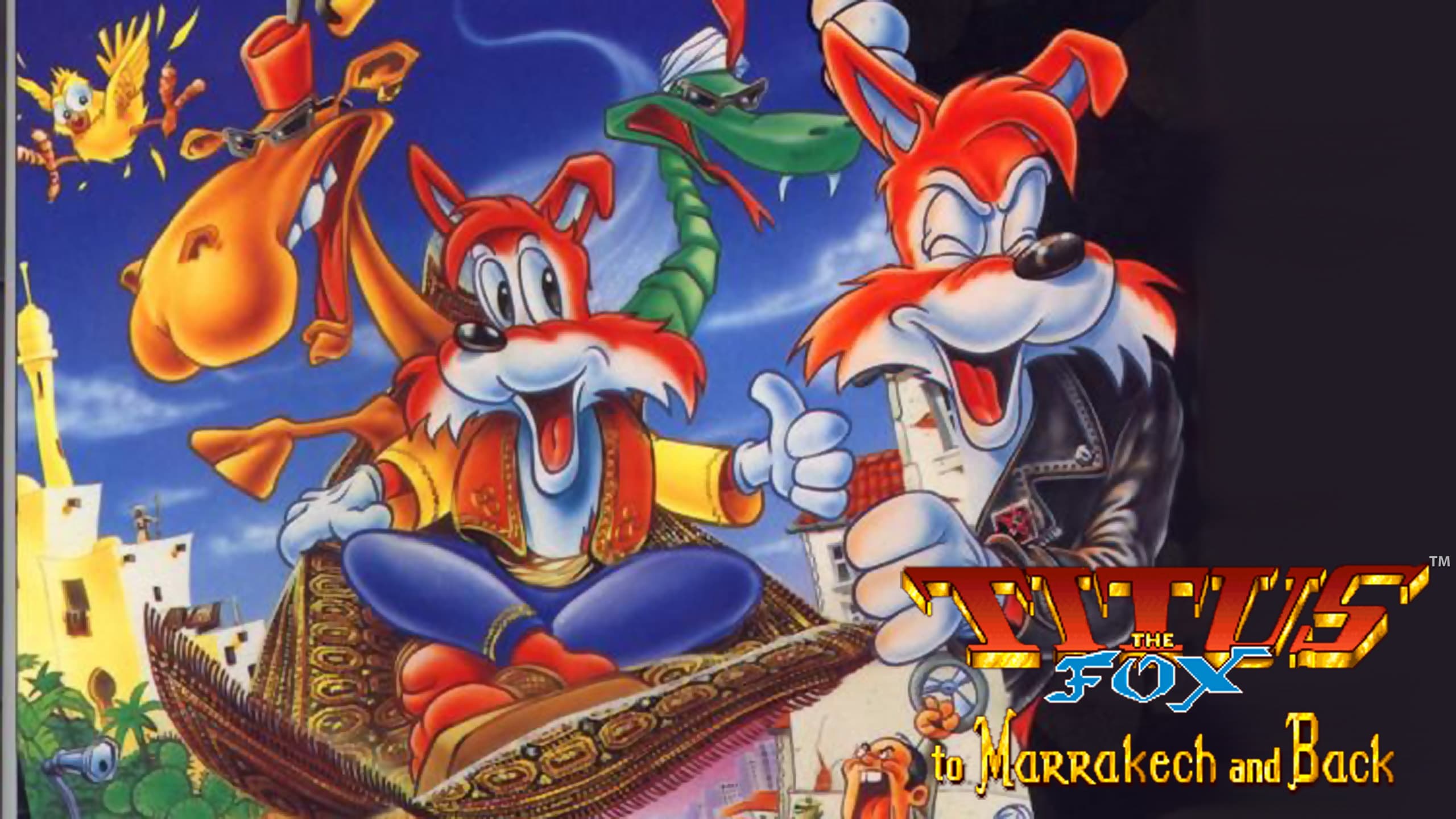 Titus the Fox: To Marrakech and Back