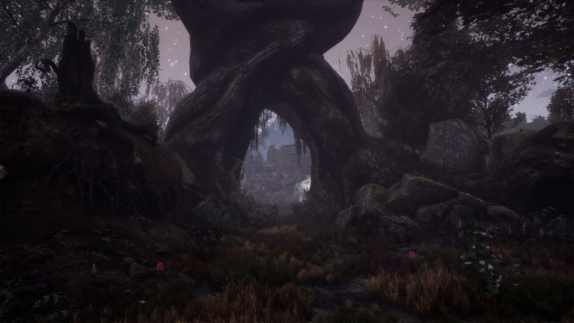 The Dead Tree of Ranchiuna screenshot 2