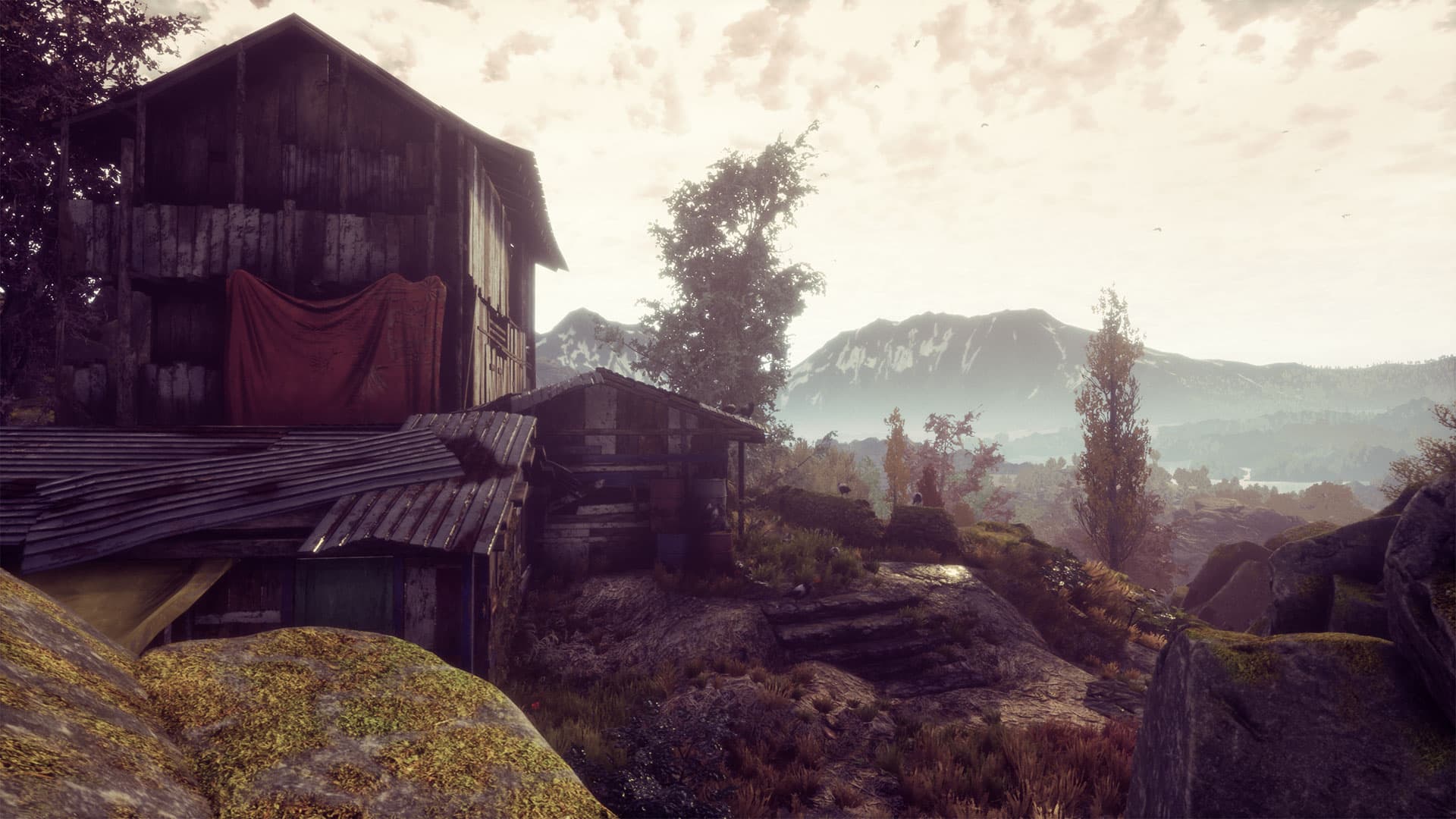The Dead Tree of Ranchiuna screenshot 3
