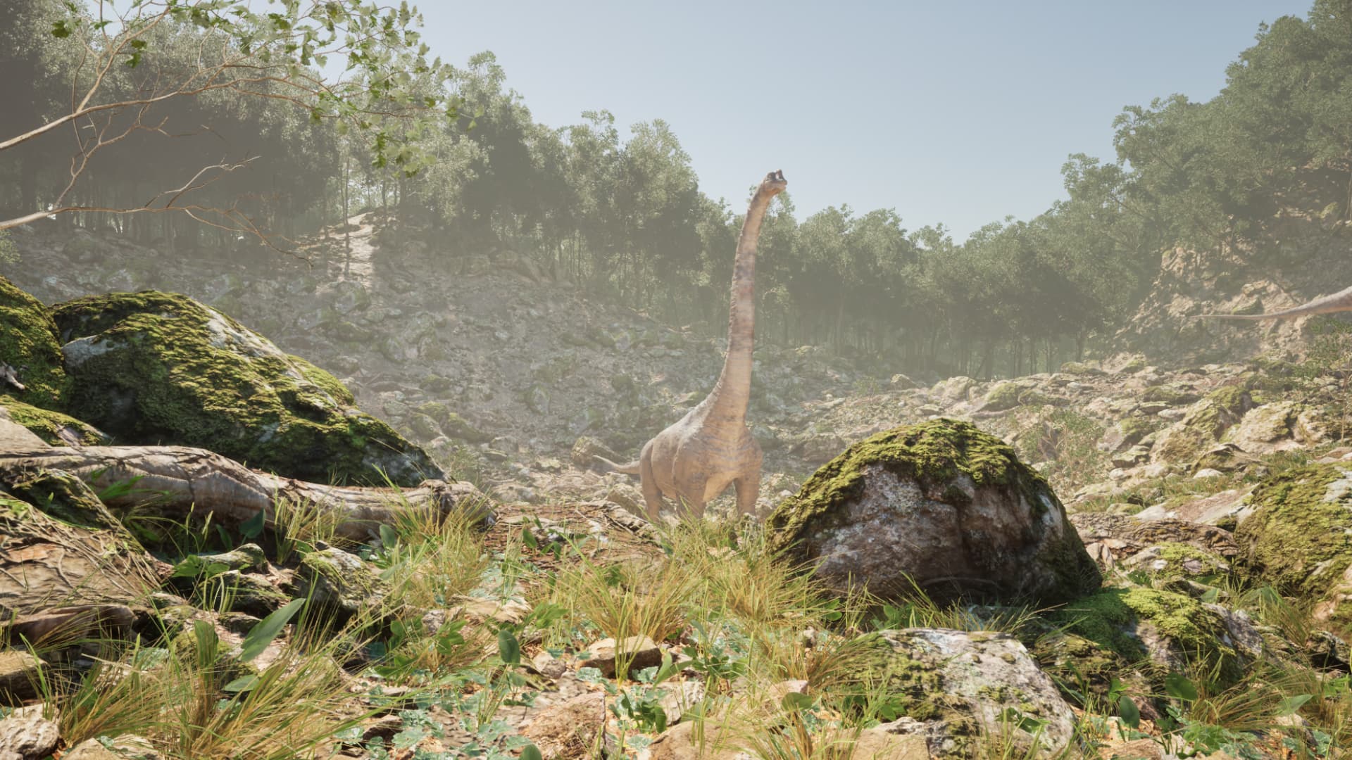 Extinct Forest screenshot 4
