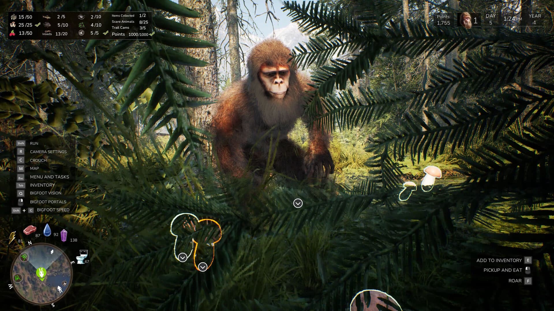 Bigfoot Life