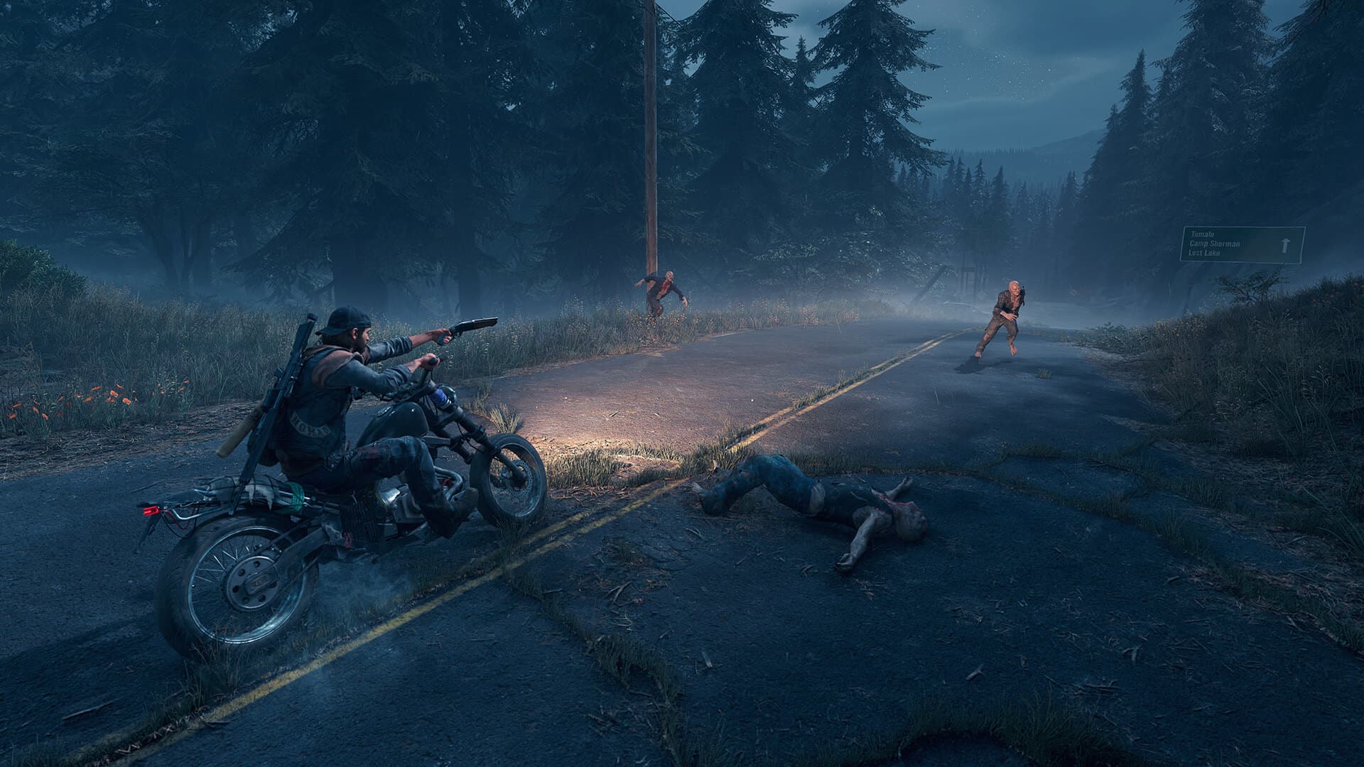 Days Gone screenshot 9