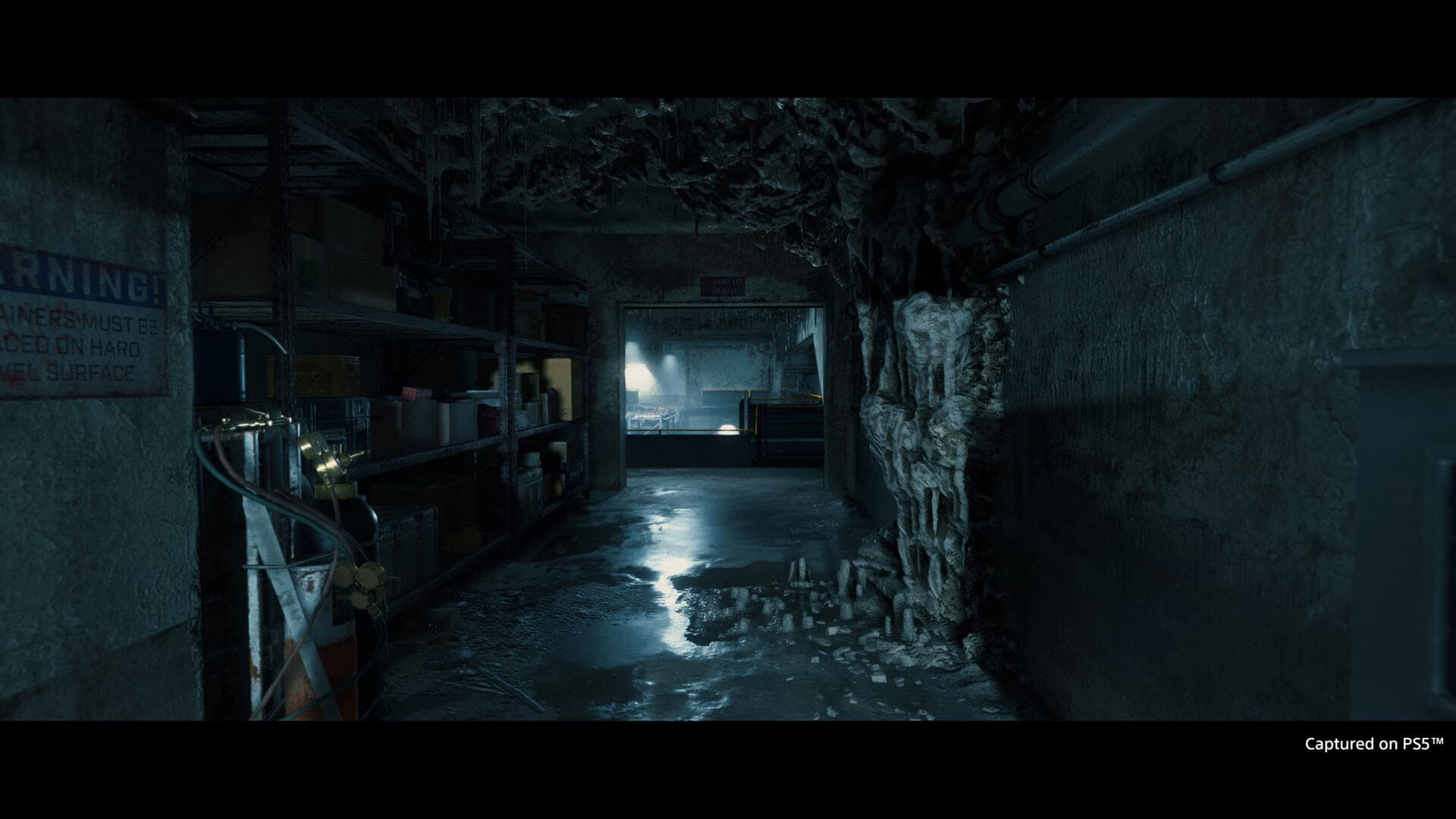 DEATH STRANDING DIRECTOR'S CUT screenshot 10