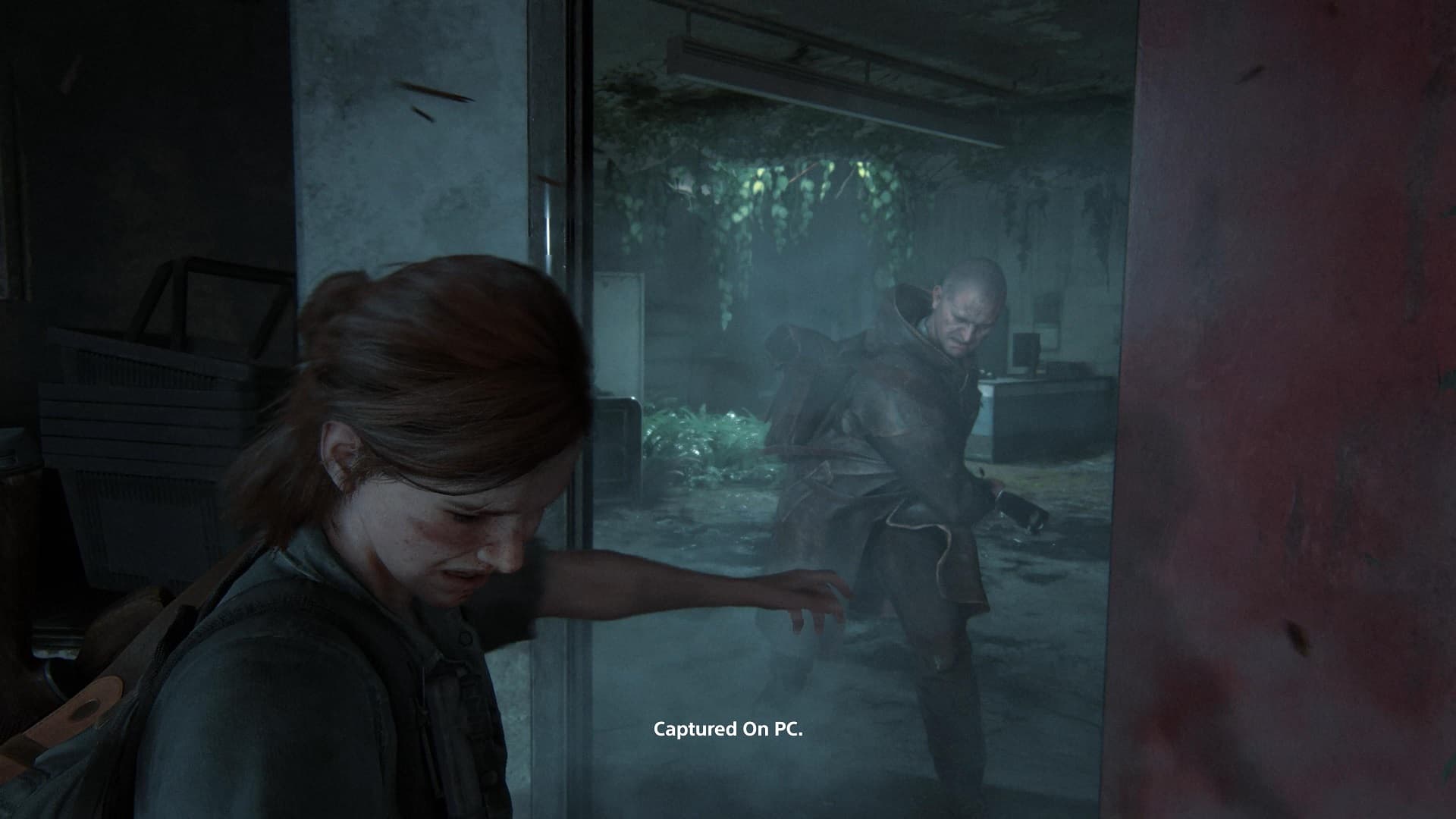 The Last of Us™ Part II Remastered screenshot 15