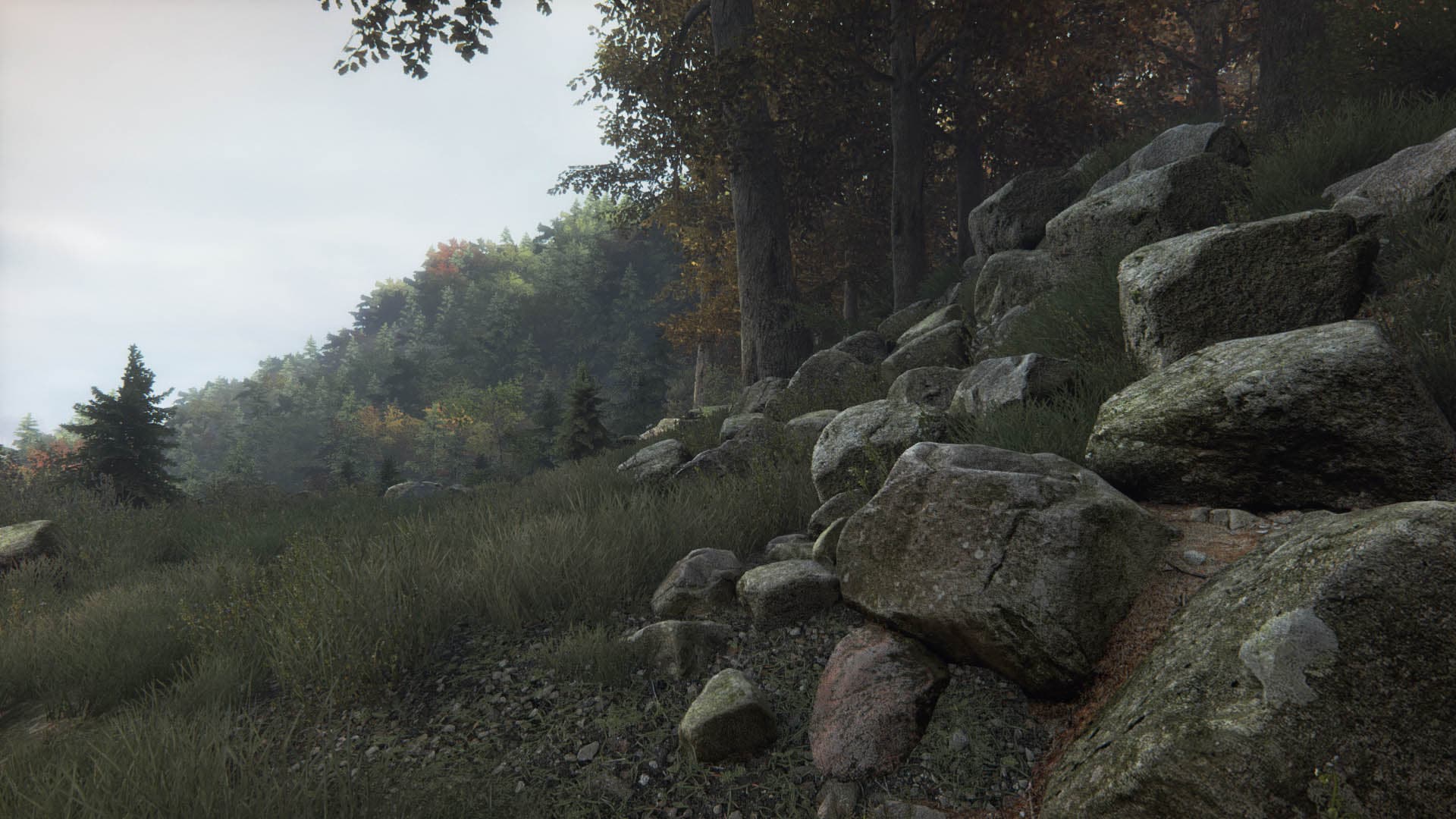 The Vanishing of Ethan Carter screenshot 3